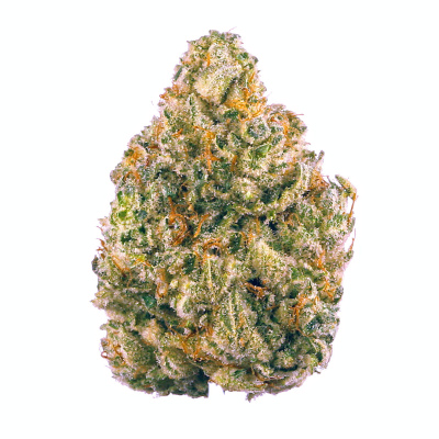 Outdoor Flower