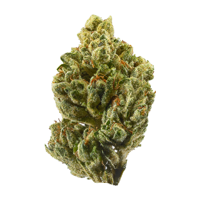 Indoor Flower